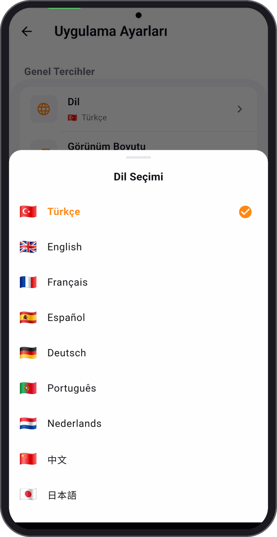 Dil seçimi ekranı — 13 dilin listesi